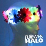 Flower Halo 2 Red, blue and white Flower Halo