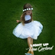 LED Rose Garland 2 