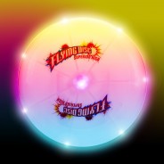 Light Up Frisbee 1 